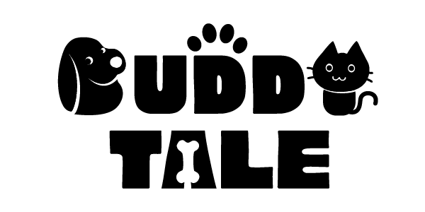 Buddytale Logo